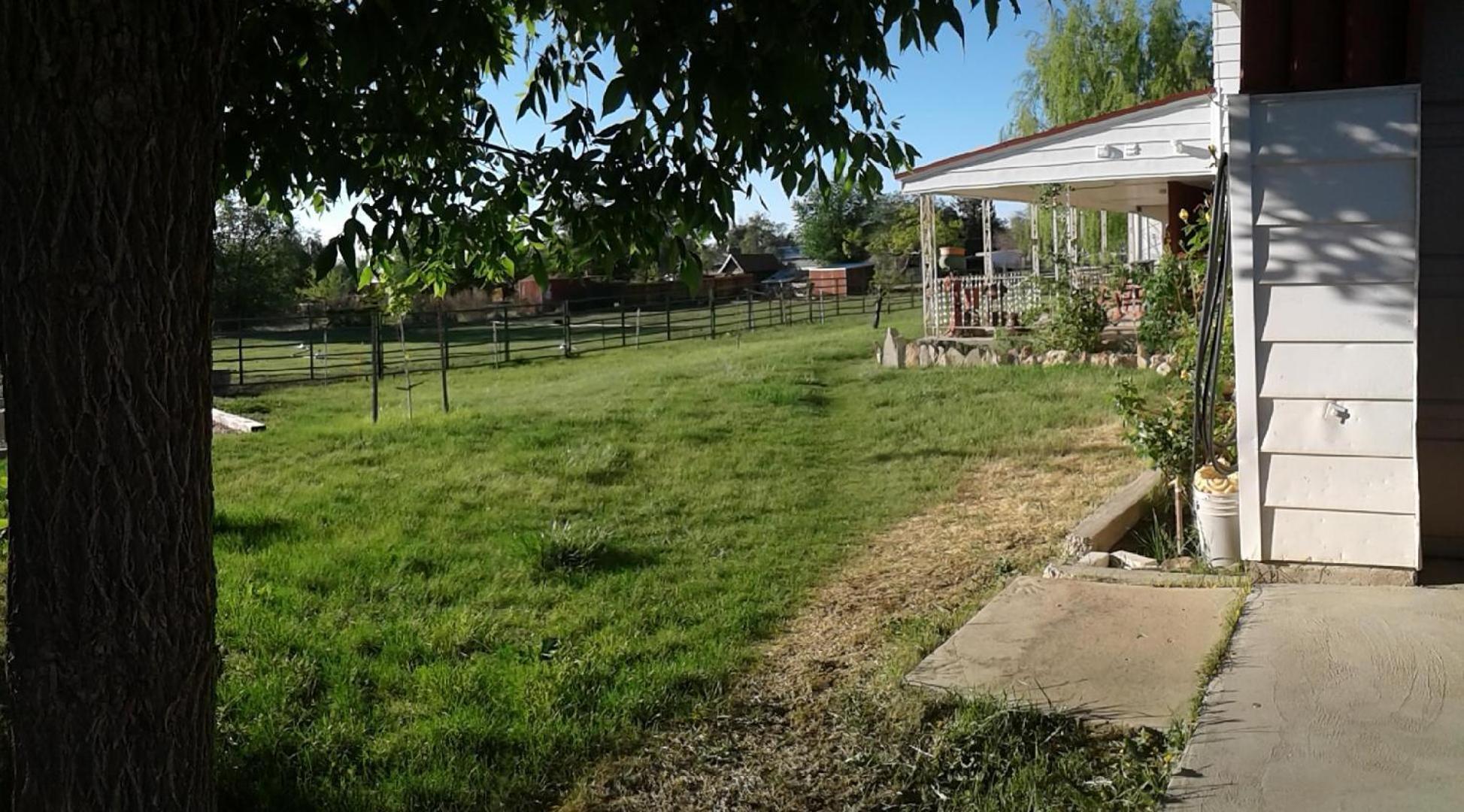 Dora'S Country Cottage Escalante Chambre photo
